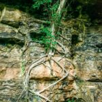 Art of Resilience